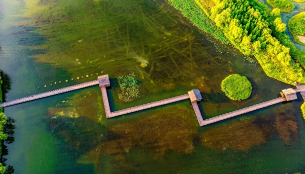 溱湖國家濕地公園