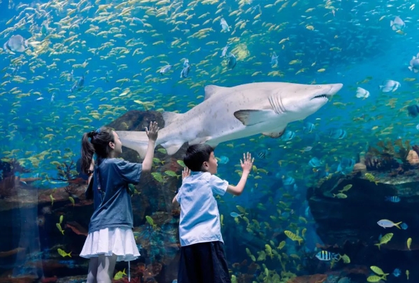 鄭州海昌海洋公園