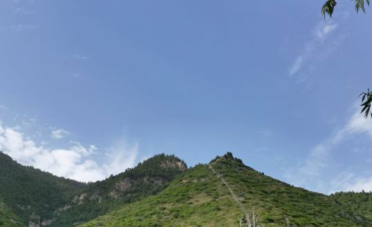 渭南金粟山森林公園