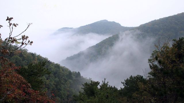 渭南金粟山森林公園