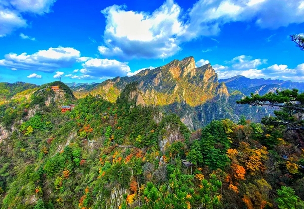 南陽(yáng)旅游年票