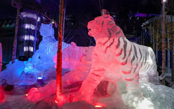 哈爾濱冰雪大世界夢(mèng)幻冰雪館