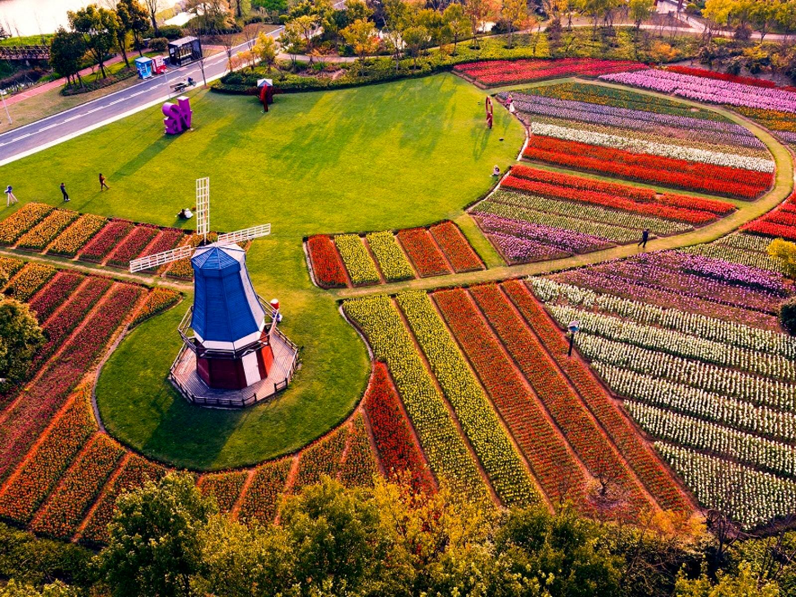 宁波植物园