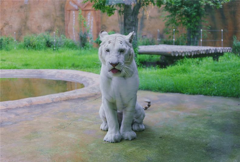 龍沙動植物園