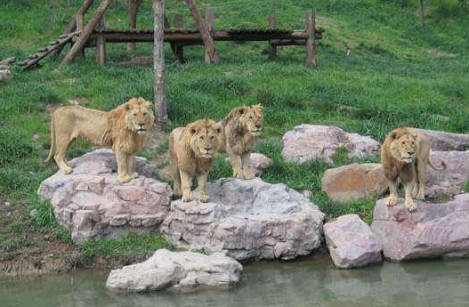 蘭州野生動物園