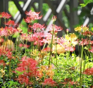 寧波植物園