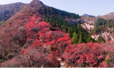 原山白石洞景區(qū)