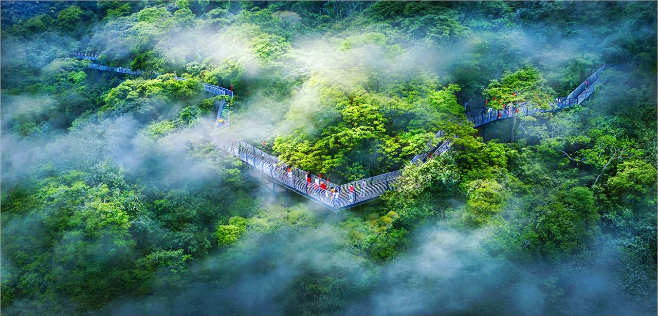 海南百花岭热带雨林文化旅游区