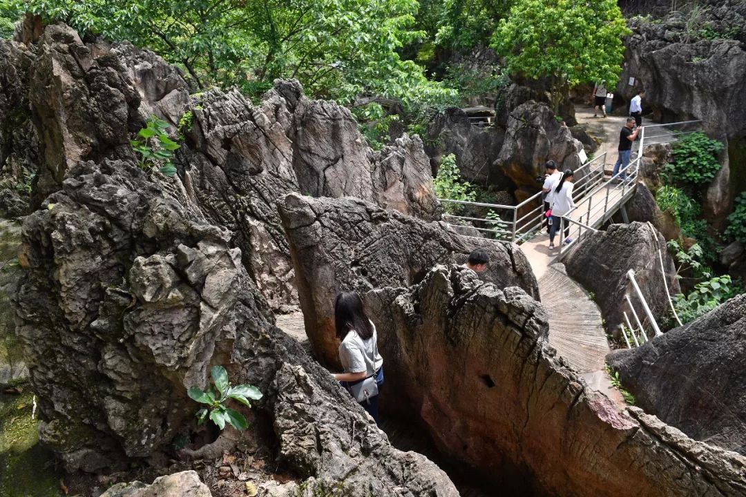 云浮大云霧山旅游區(qū)