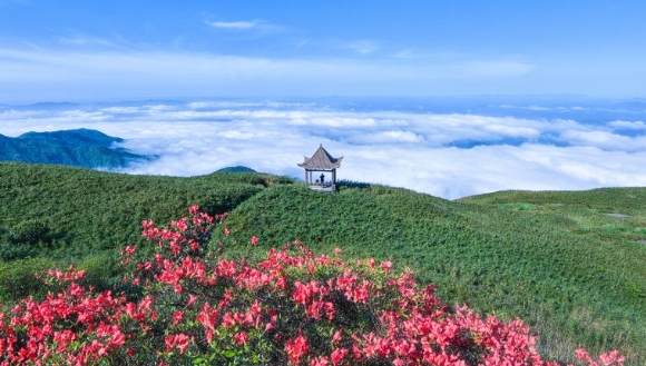 姑婆山