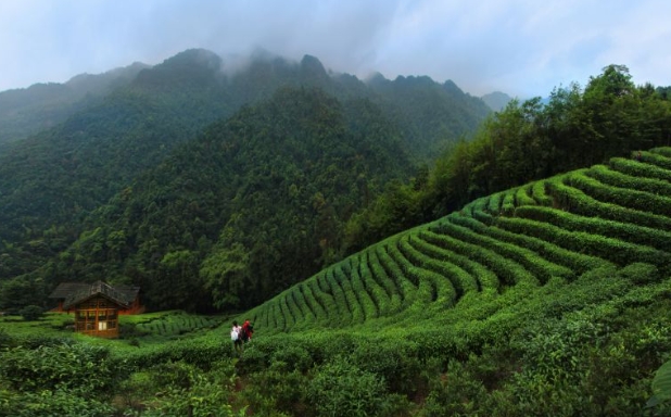 姑婆山