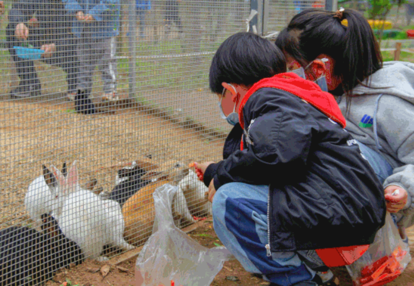 西安百鄰莊園