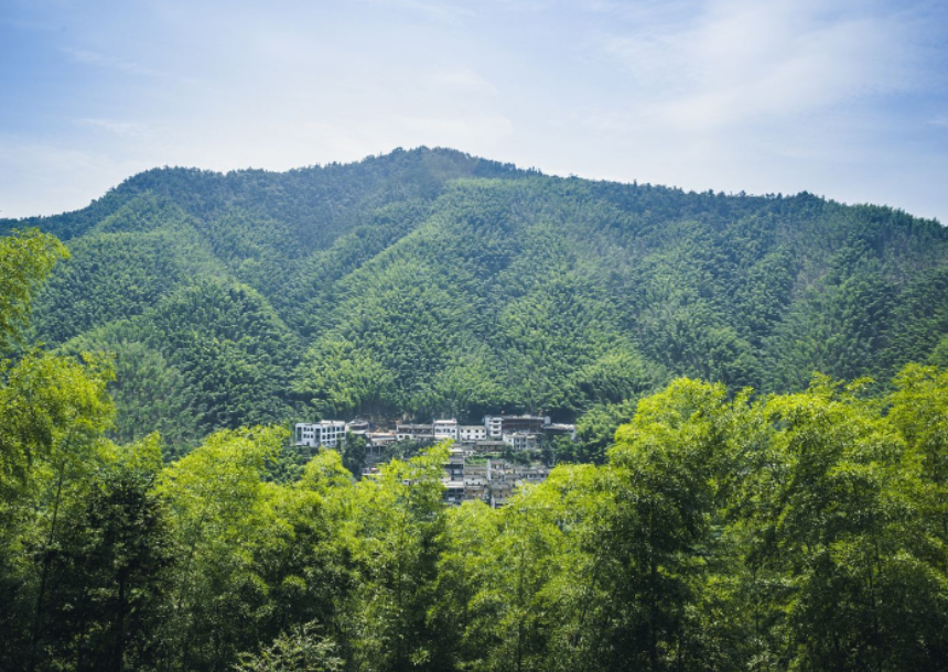 木坑竹海