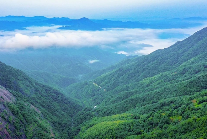 大鄣山卧龙谷风景区