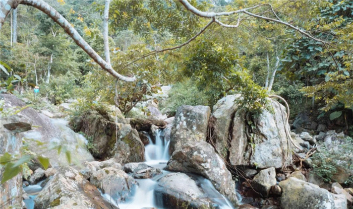 海南百花嶺熱帶雨林文化旅游區(qū)