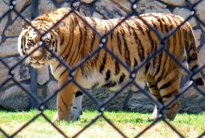 揚(yáng)州寶應(yīng)動物園