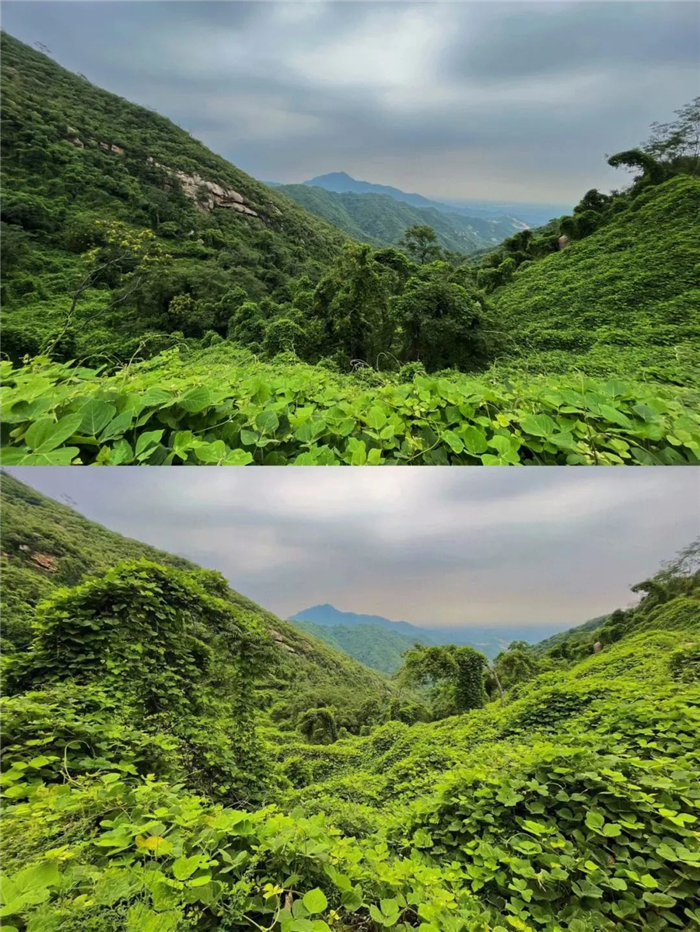 石家莊藤龍山風(fēng)景區(qū)