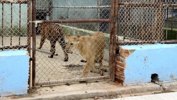 揚州寶應動物園2.png