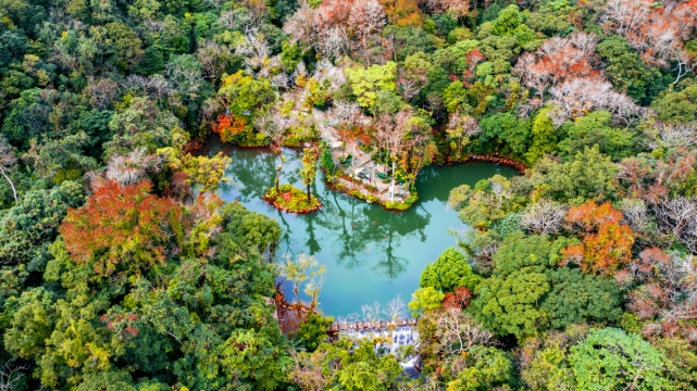 海南百花嶺