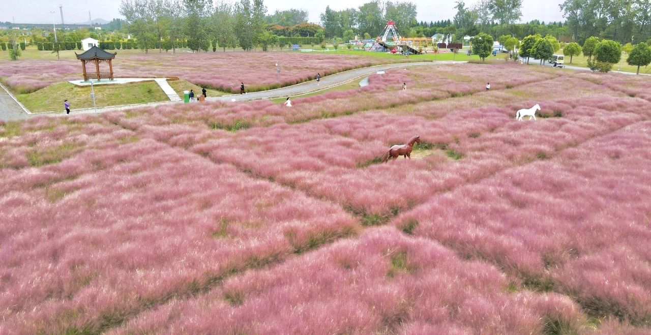 八卦洲陌上花渡