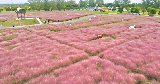 八卦洲陌上花渡