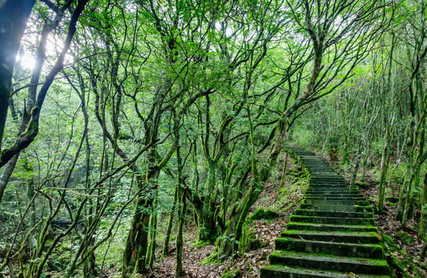 麗水龍泉山景區(qū)