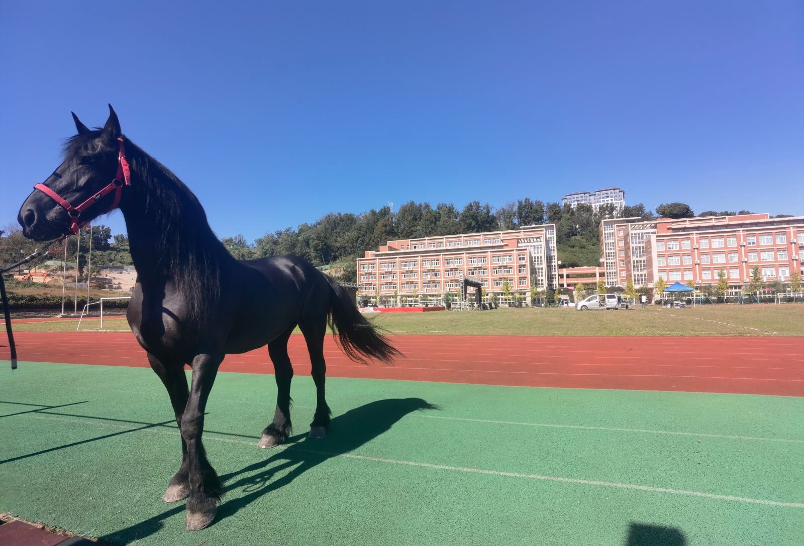 溫嶺田園牧歌旅游度假區(qū)