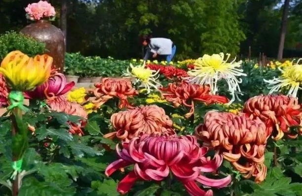 溫州吹臺山森林公園