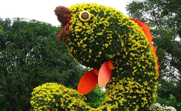 溫州吹臺山森林公園