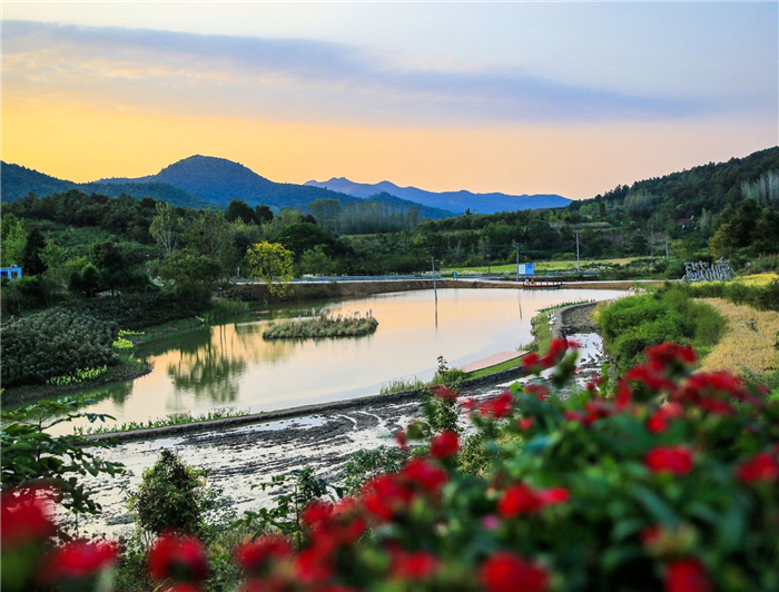 荊門京山農(nóng)場