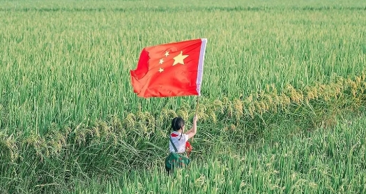 荆门京山农场