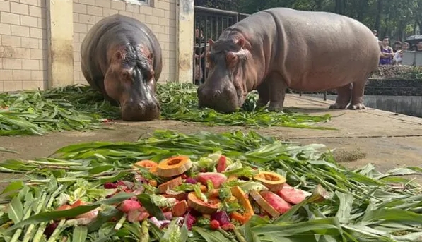 合肥野生動(dòng)物園