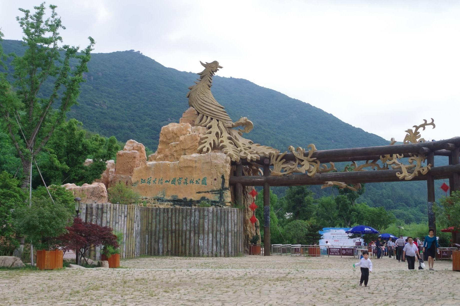 大陽(yáng)山國(guó)家森林公園植物園景區(qū)4.jpg