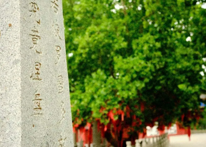 羅莊寶泉寺公園