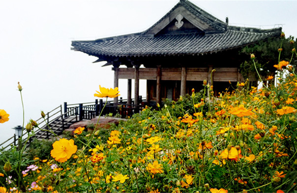 万安山山顶公园2.jpg