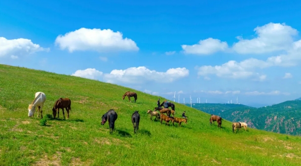 郑州伏羲山小马高原