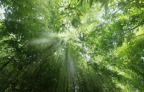 红螺寺