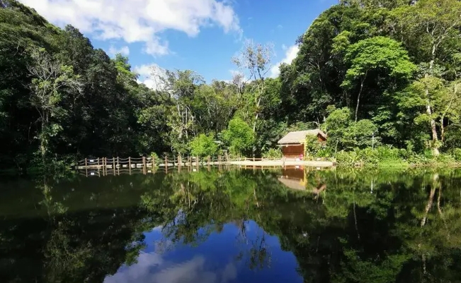 海南百花嶺游玩攻略