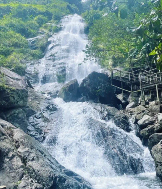 海南百花嶺游玩攻略