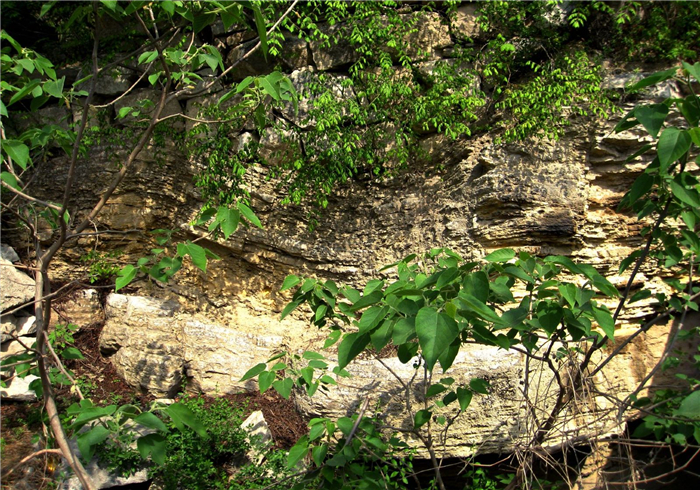 聊城魚山曹植風(fēng)景區(qū)4.jpg