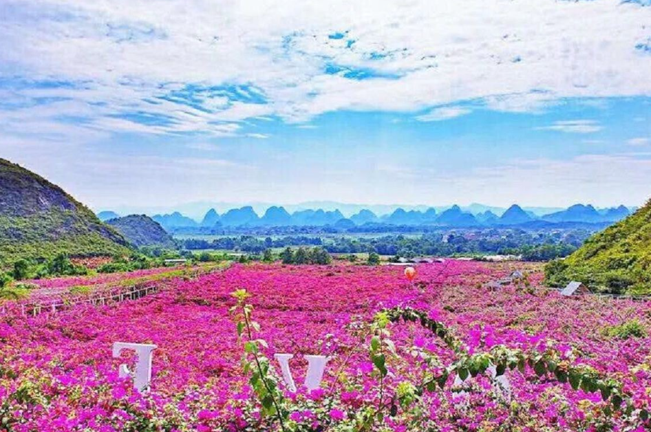 桂林花海景区