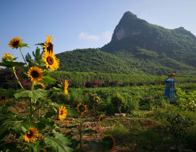 桂林花海景區(qū)1.png