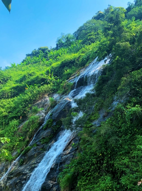 海南百花嶺