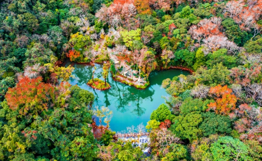 海南百花嶺