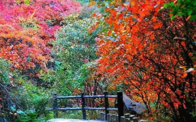 豫西大峡谷景区