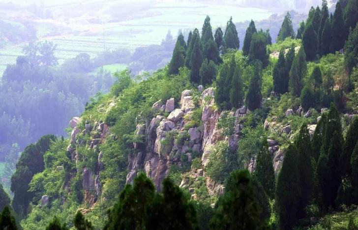 九顶梅花山