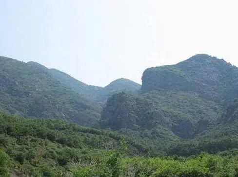 九頂梅花山