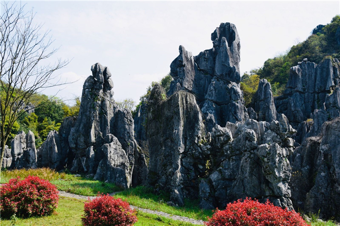 怪石林风景区