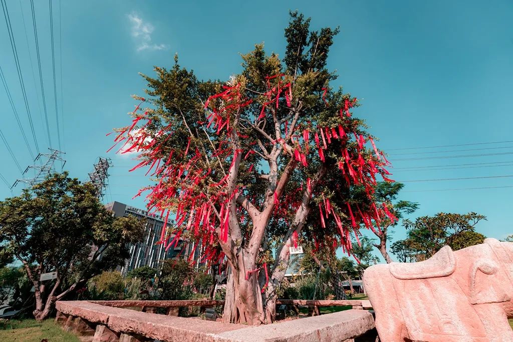 佛山火车头植物园