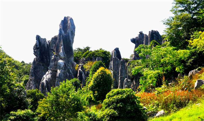 怪石林风景区